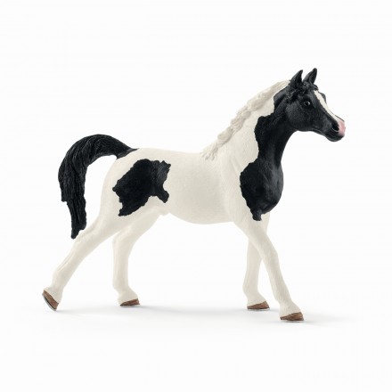 schleich pinto mare