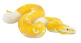 Bullyland Albino Ball Python 68485 Reptiles