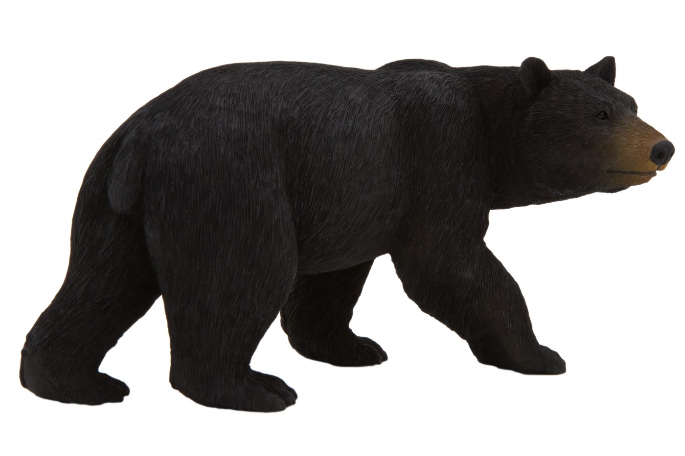 Animal Planet American black bear 387112