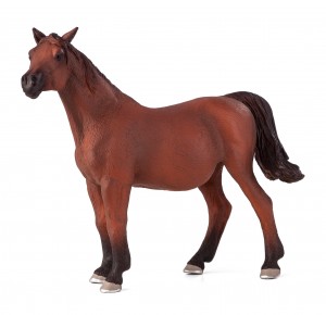Animal Planet Arab mare in foal 387194