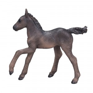 Animal Planet Arabian foal black 381015