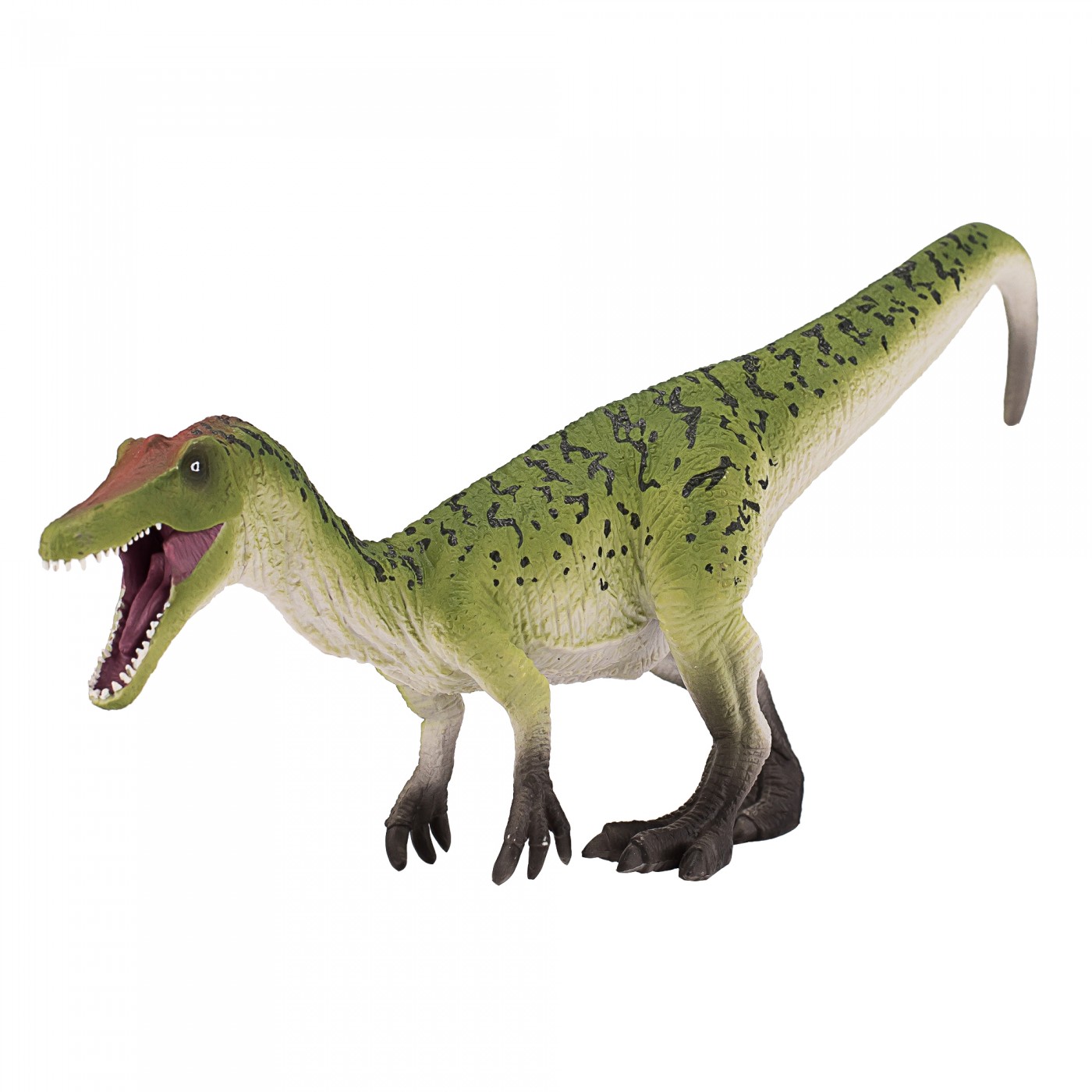 Baryonyx Articulated Jaw Baryonyx Articulated Jaw