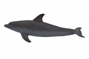 Animal Planet Bottlenose Dolphin 387118