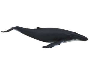 Mojo Animal Planet Buckelwal 387119