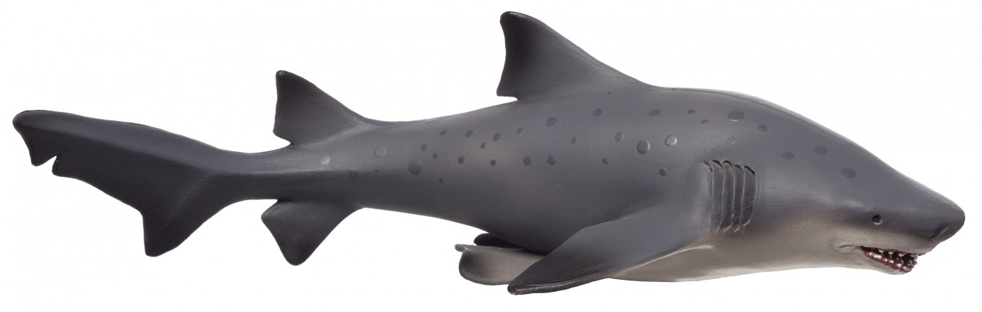 Animal Planet Bull Shark great 387355 Animal Planet Bull Shark great 387355