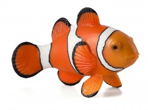 Animal Planet Clownfish 387090