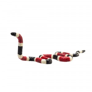 Animal Planet Coral Snake 387251