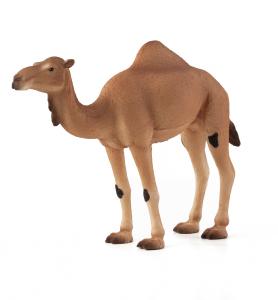 Animal Planet Dromedary 387113