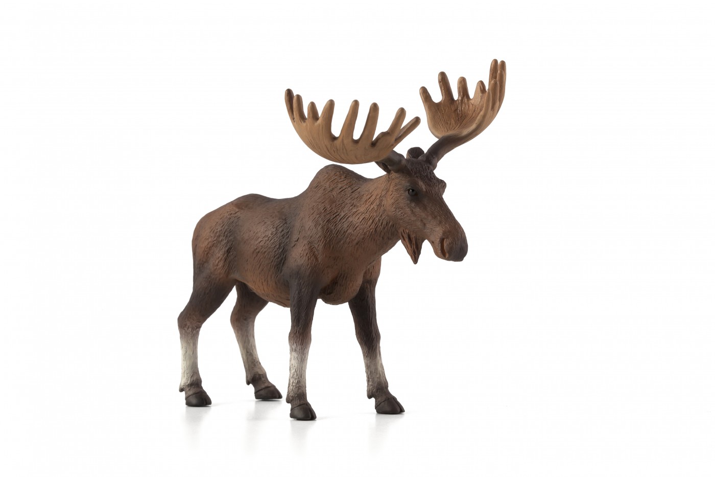 Animal Planet European Moose 387023