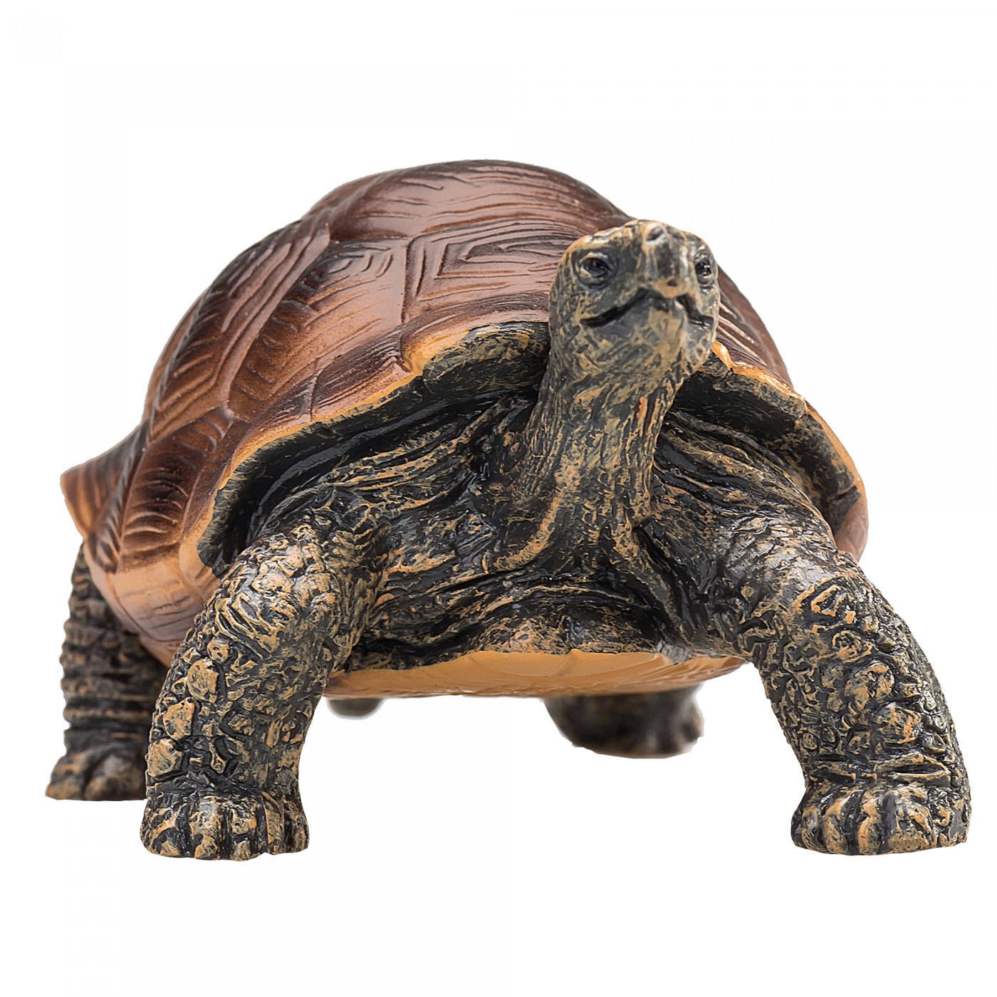 Animal Planet Giant Tortoise 387259