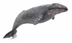 Animal Planet Gray Whale 387280