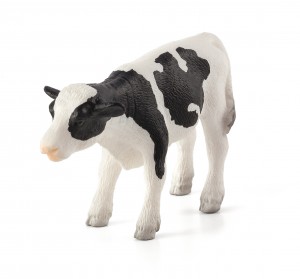 Animal Planet Holstein calf standing 387061