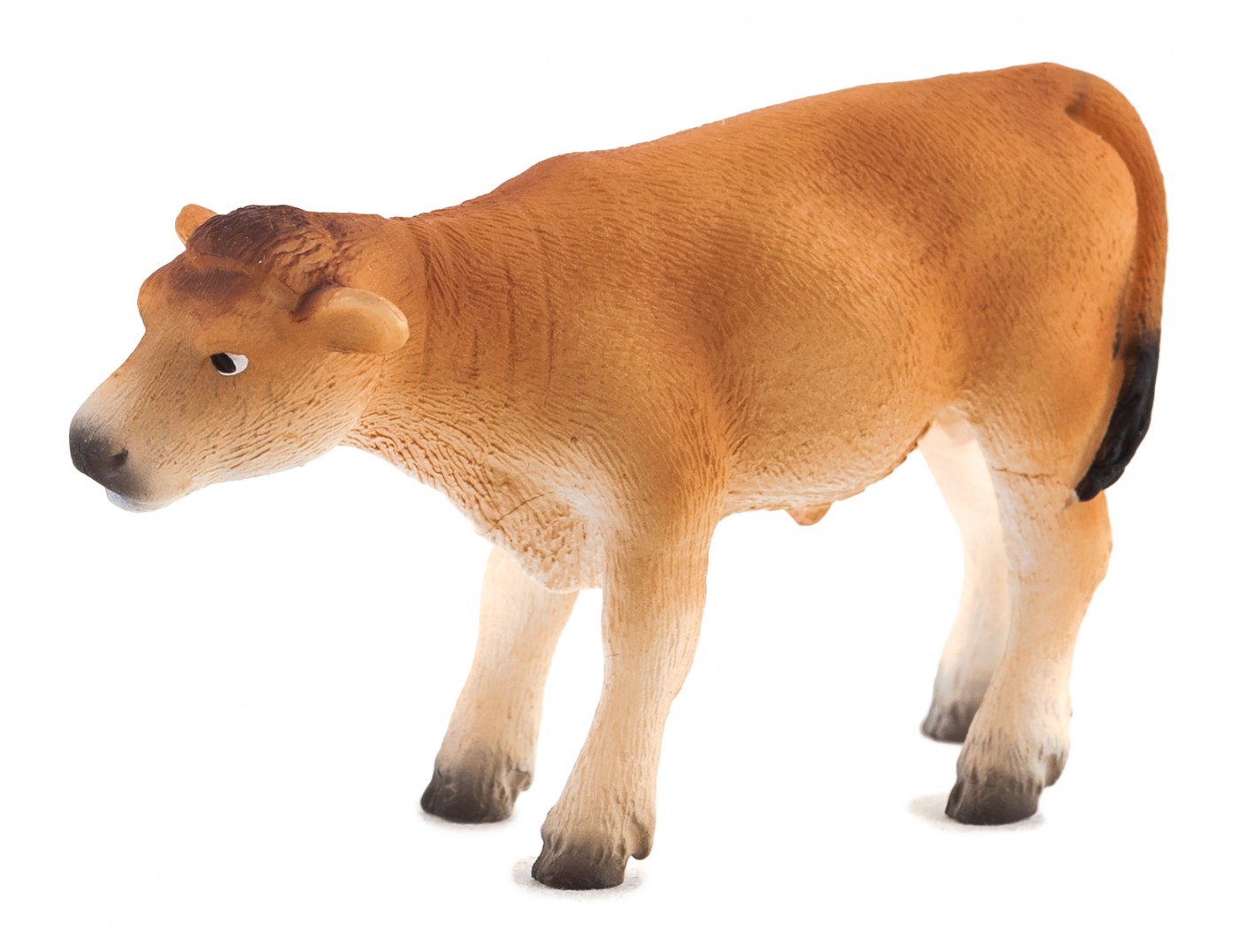 Animal Planet Jersey calf standing 387147 Animal Planet Jersey calf standing 387147