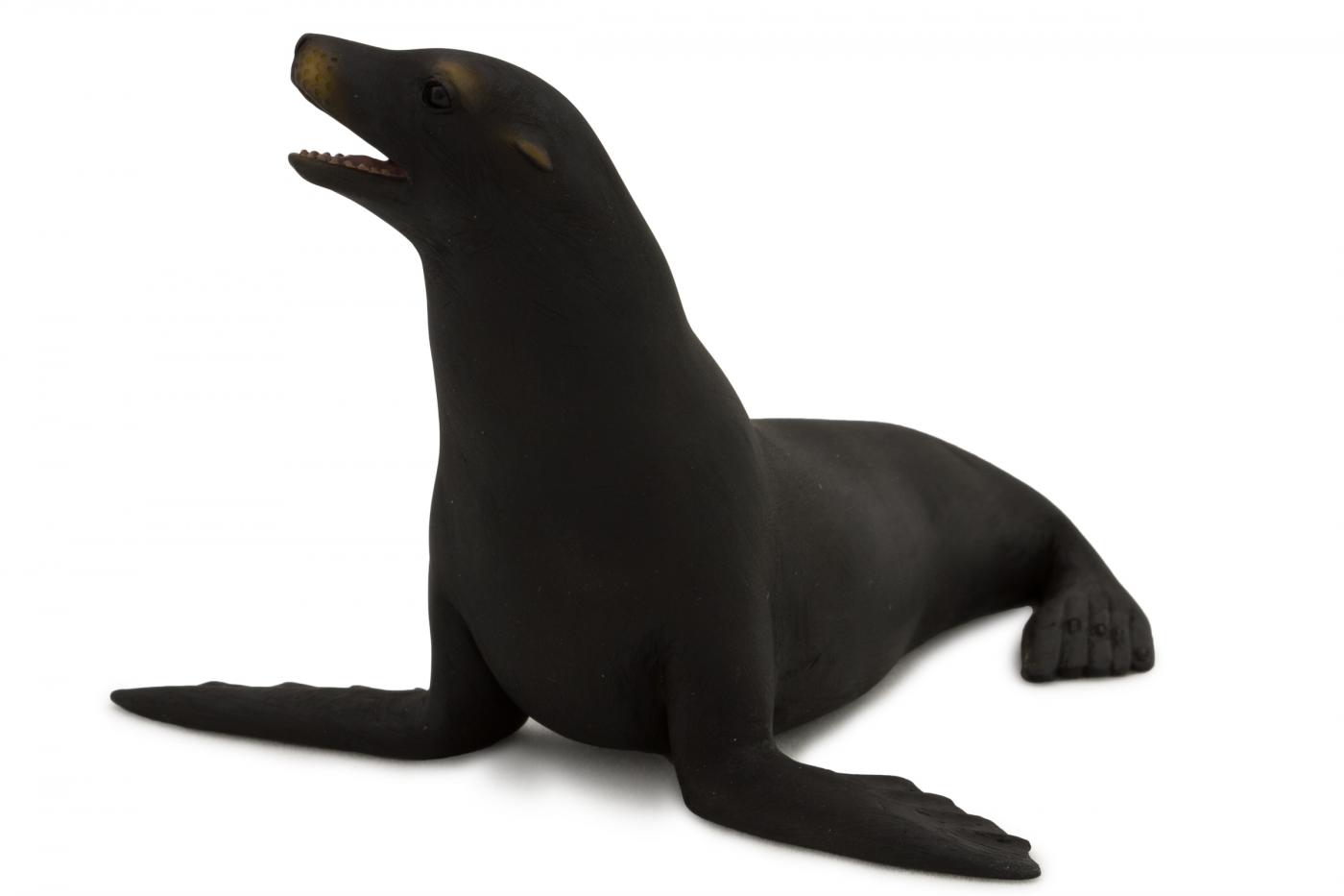 Animal Planet Kalifornischer Seel�we 387115
