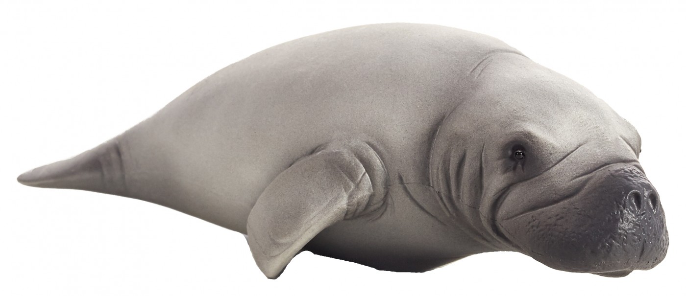 Animal Planet Manatee 387211