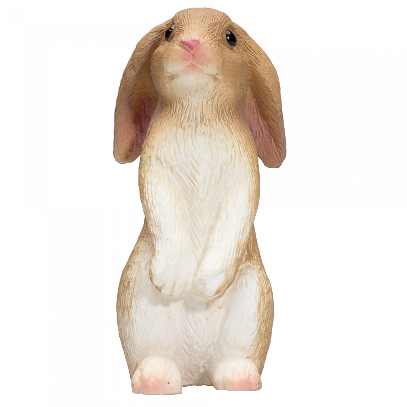 Animal Planet Rabbit sitting 387141