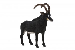 Animal Planet Sable Antelope 387145