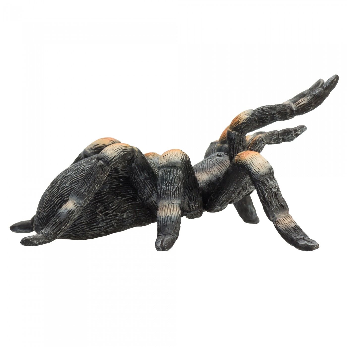 Animal Planet Tarantula 387213