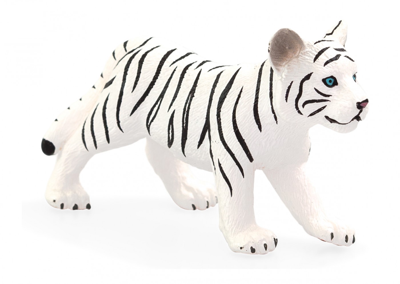 Animal Planet White tiger cub standing 387014