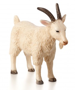 Animal Planet billy goat 387077