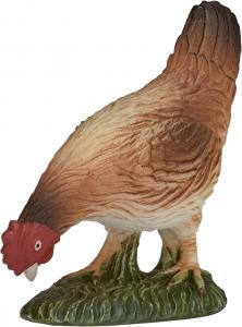 Animal Planet hen eating 387053