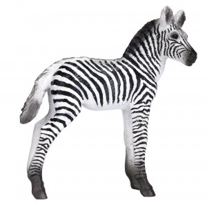 Animal Planet zebra foal 387394