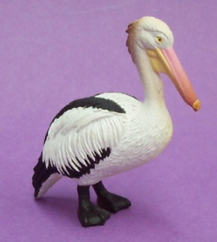 Animals of Australia Australian Pelican 75383 approx.6cm