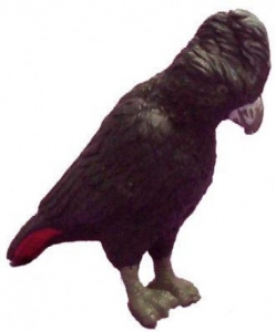 AoA 75382 Banks-Rabenkakadu Red-Tailed Black Cockatoo bei spielzeug-guenstig.de