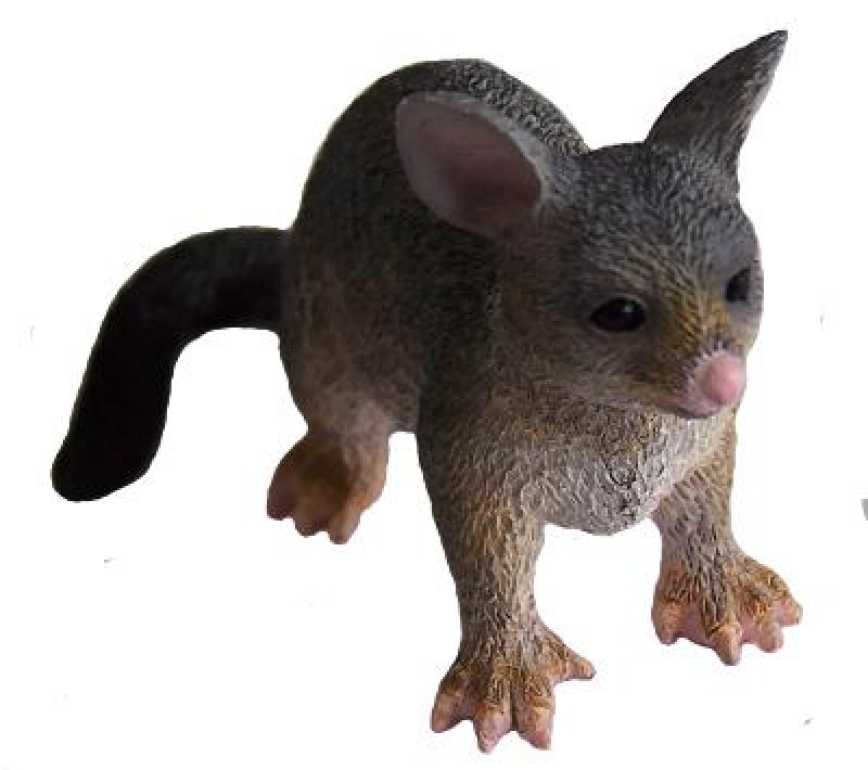 Possum Beutelsäuger 6 cm Animals of Australia Science and Nature 75362 Possum Beutelsäuger 6 cm Animals of Australia Science and Nature 75362