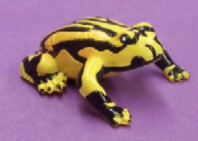 Animals of Australia Corroboree Frosch 75361 ca.3.5cm