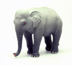 Australian Animals: Animals of Australia Elephant 75901