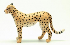 Australische Tierfiguren: Animals of Australia Gepard 75904