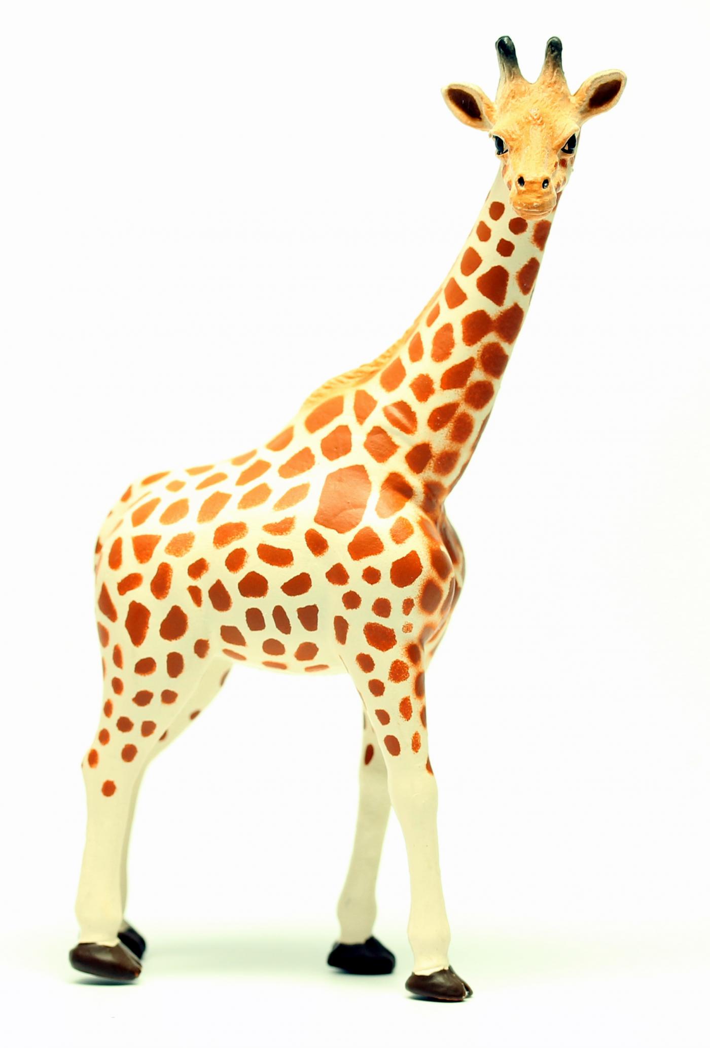 giraffe figure