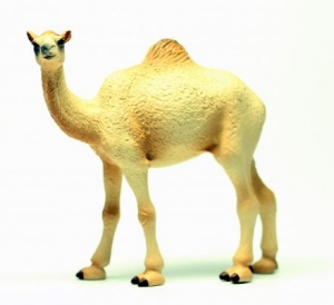 Australische Tierfiguren: Animals of Australia Kamel 75