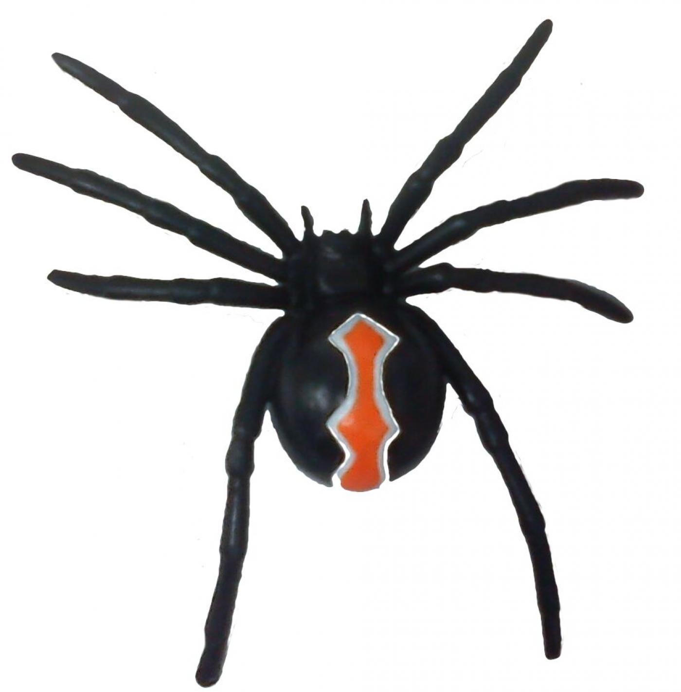Animals of Australia Katipo Webspinne 75346