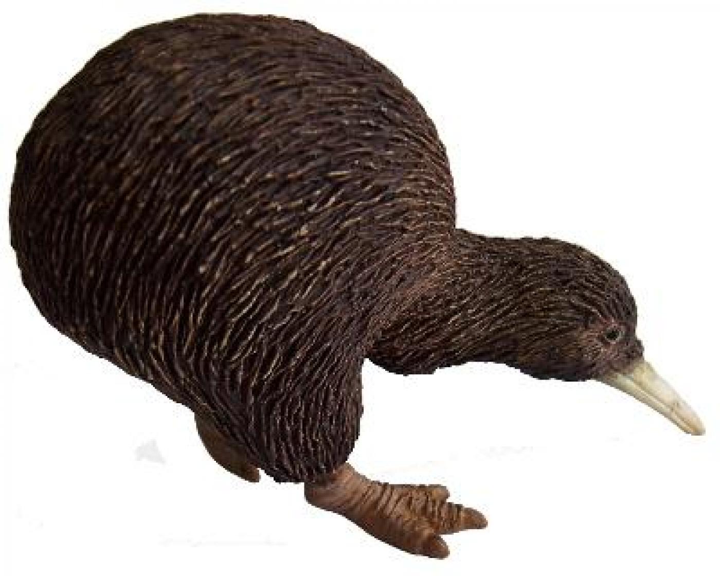 Animals of Australia Kiwi 75340 Birds