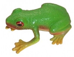 AoA 75342 Rotaugenlaubfrosch Red-eyed green Tree Frog bei spielzeug-guenstig.de