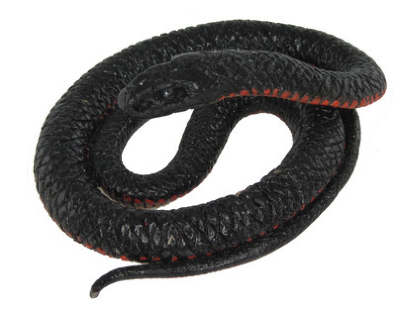 Animals of Australia Rotbauchschwarzotter 75471 D=7cm