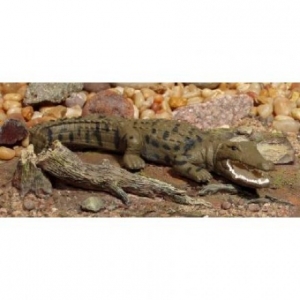 AoA 75460 Salzwasser Krokodil Saltwater Crocodile bei spielzeug-guenstig.de