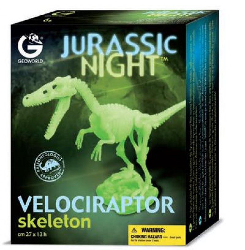 Animals of Australia Skelett des Velociraptor nachtleuchtend 5928 cm27x13H