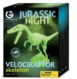Animals of Australia Skelett des Velociraptor nachtleuc