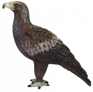 Australian Birds: Animals of Australia Wedge-tailed Eagle 75222