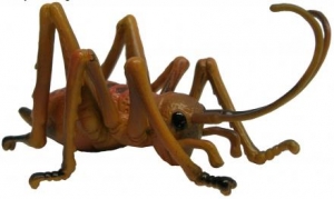 Australische Insekten : Animals of Australia Weta Schrecke 75347