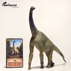 Atlasaurus 1:40 eo004