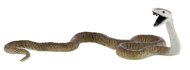 Black Mamba