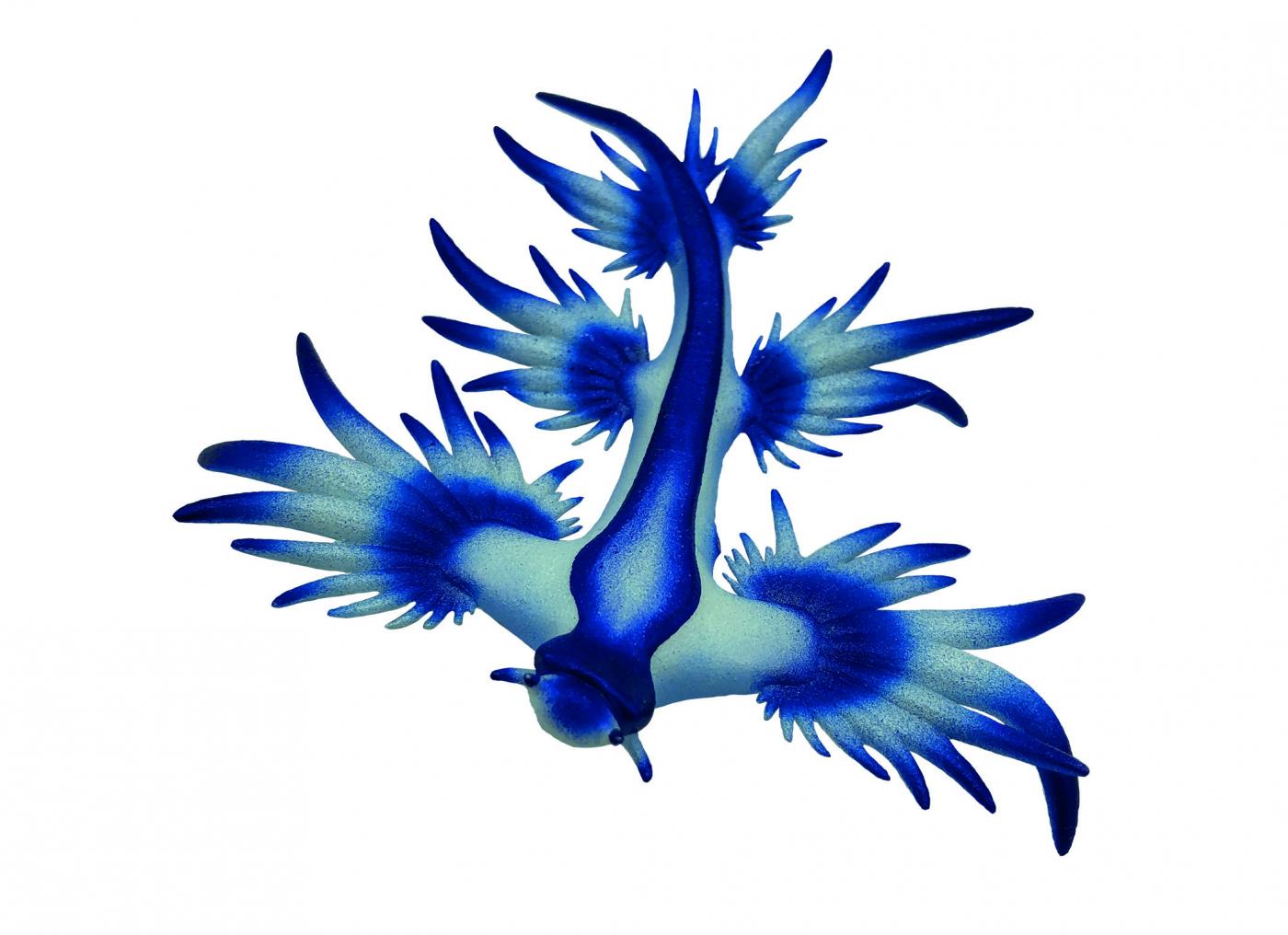 Bullyland Blaue Ozeanschnecke 67511