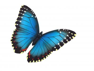 Bullyland Wildtiere: Bullyland Blauer Morphofalter 6846