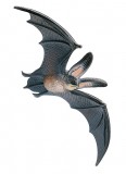 Bullyland Amphibien: Bullyland Fledermaus Baby 68441 g�nstig kaufen