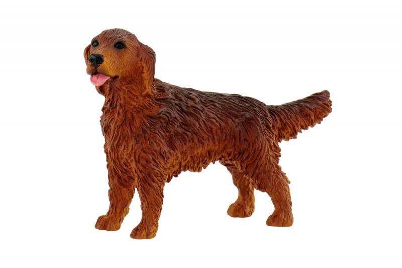 irish setter dealers