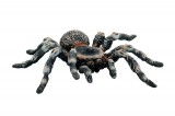 Bullyland Amphibien: Bullyland Wei�knie Vogelspinne 68457